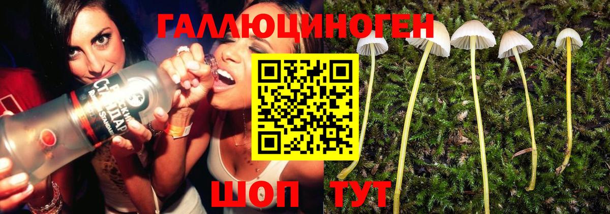 Изобильный  купить наркотики сайты  Вход с VPN  Псилоцибиновые грибы мухоморы 