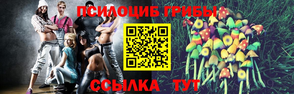 Галлюциногенные грибы Psilocybe Изобильный
